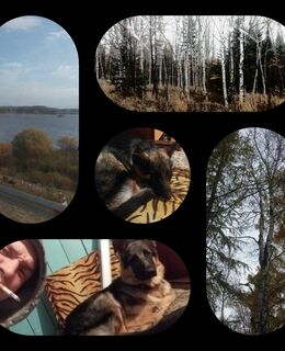 Степан — фото 2