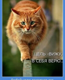 Евгений Векслер